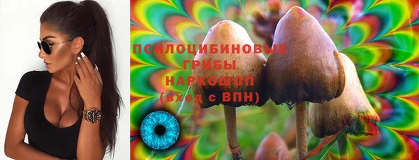 a pvp Каменногорск