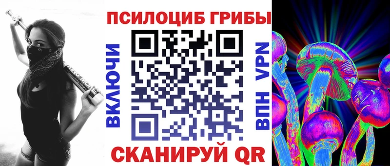 Купить где  Волжск  Галлюциногенные грибы Magic Shrooms 